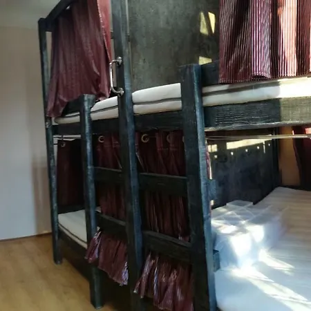 Sova Słoneczny Brzeg