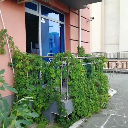 Sova * Słoneczny Brzeg
