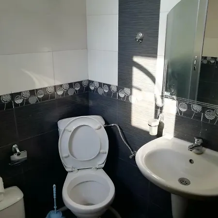 Sova * Słoneczny Brzeg